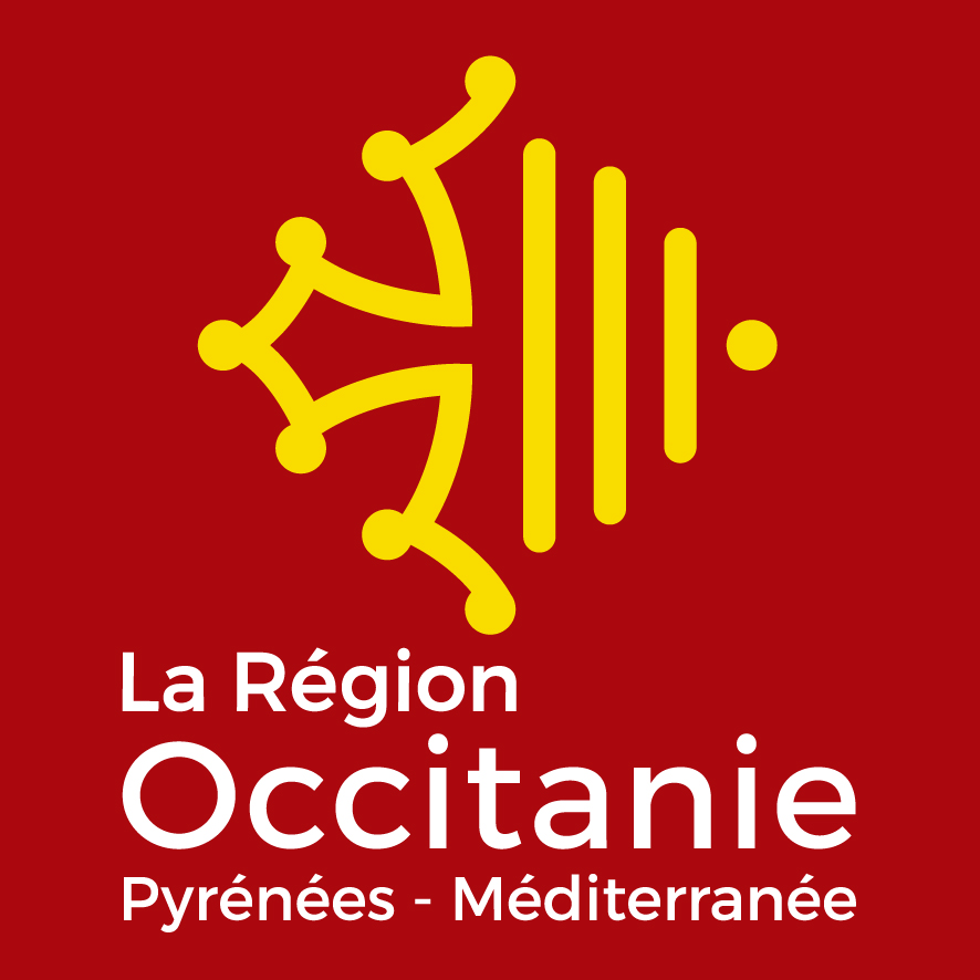 Pass Occitanie, pour co-financer la transition numérique des PME