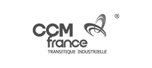 Ccm-France Conception logo,diagnostic marketing, site internet natys