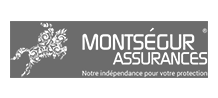 Montségur assurances, Lavelanet , pamiers, Toulouse - Logotype Natys 